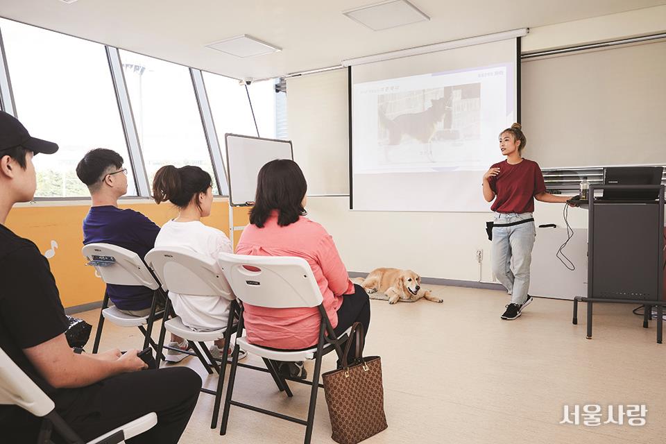 서울반려동물교육센터에서 진행하는 반려동물과 반려인을 위한 교육.