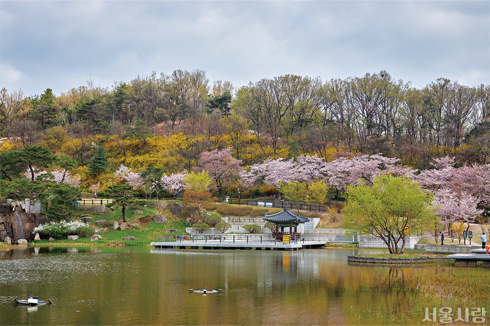 애월정을 품고 있는 월영지 주변으로 봄꽃이 만발한 풍경.
