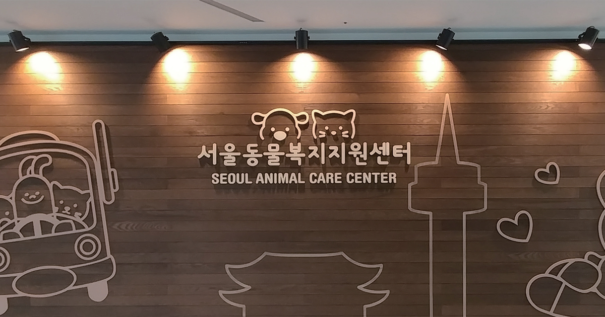 사람과 동물이 모두 행복한 서울