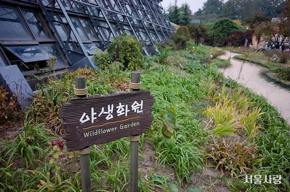 서울어린이대공원 식물원