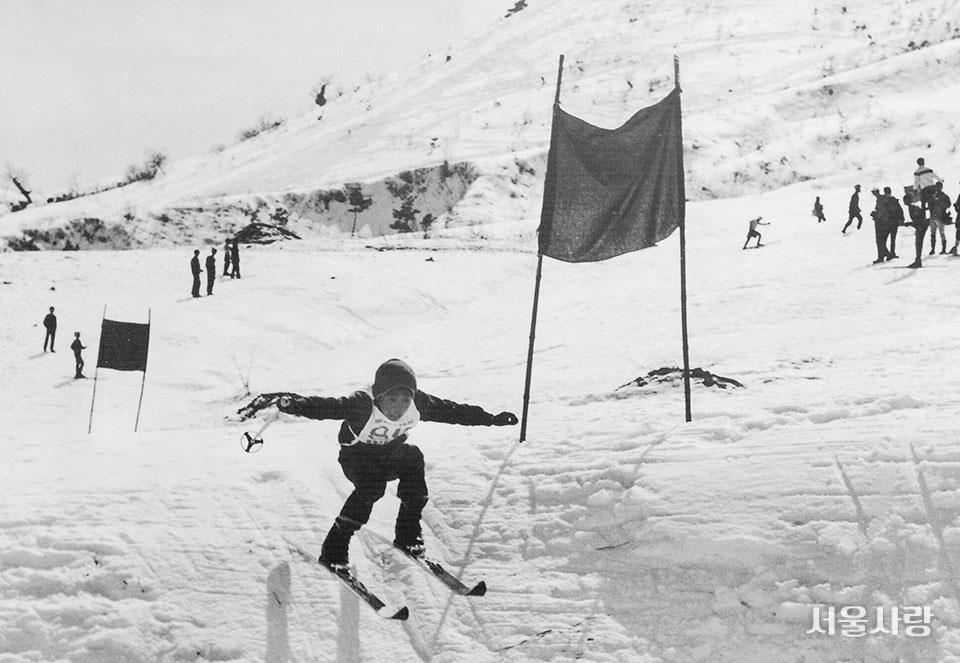 1959년 대관령에서 열린 제40회 전국동계체육대회 스키 활강 경기.