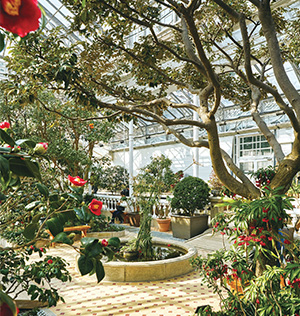 서울사랑 표지 1월 사진