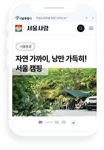 서울사랑 사이트 핸드폰