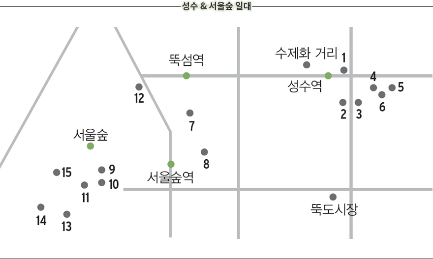 성수 & 서울숲 일대를 표현한 지도