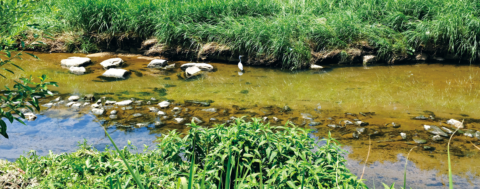 돌아볼수록 더 재미있는 나의 동네