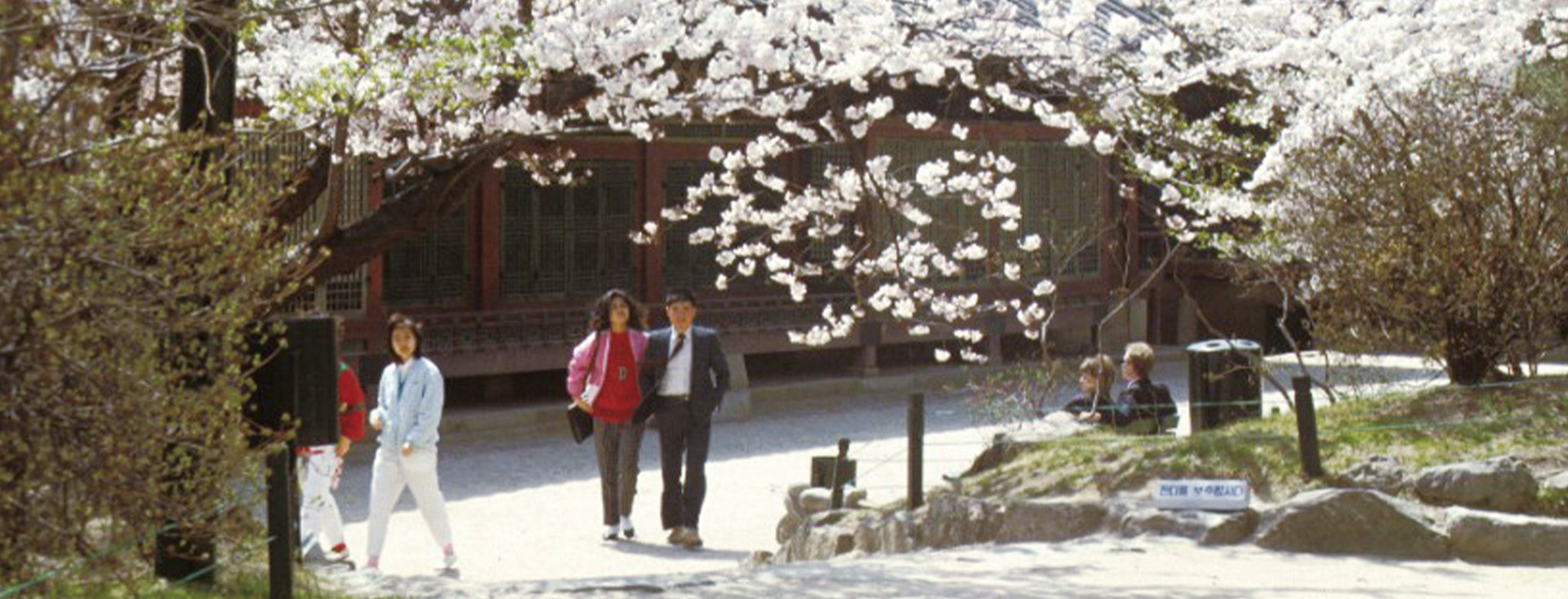 서울 상춘곡