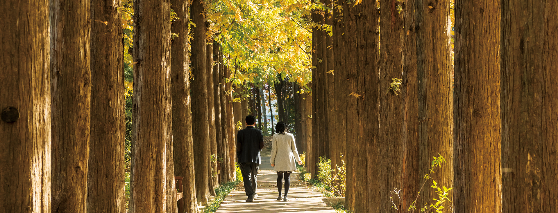 단풍길에서 만나는 서울의 가을