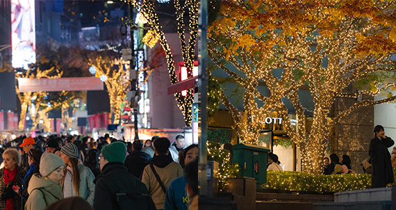 빛으로 물든 서울의 연말