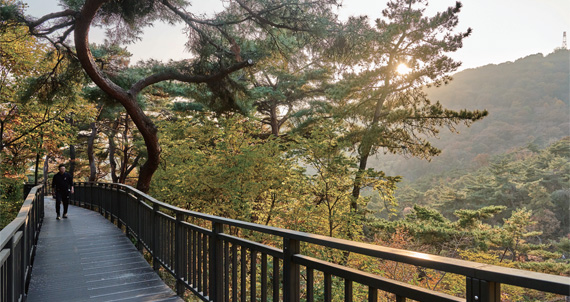 수고했어, 올해도!