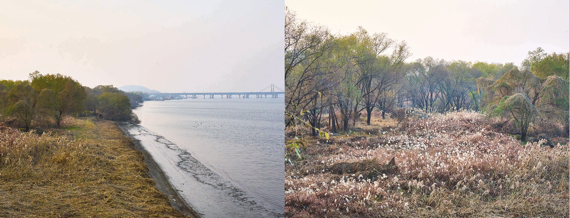 뜻밖의 아름다움이 느닷없이 펼쳐질지도 몰라