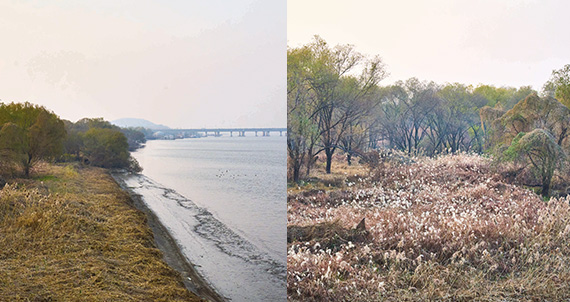 뜻밖의 아름다움이 느닷없이 펼쳐질지도 몰라
