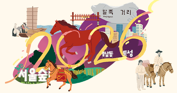 제주에서 올라와 서울을 누빈 말 이야기