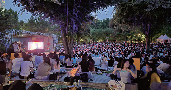 즐거운 서울의 밤, 보고 듣고 움직이며 발견하는 서울의 재미