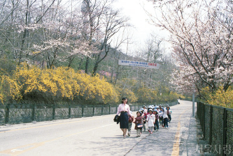 남산으로 봄 소풍을 온 유치원 어린이들. 1986년 4월. ⓒ서울사진아카이브