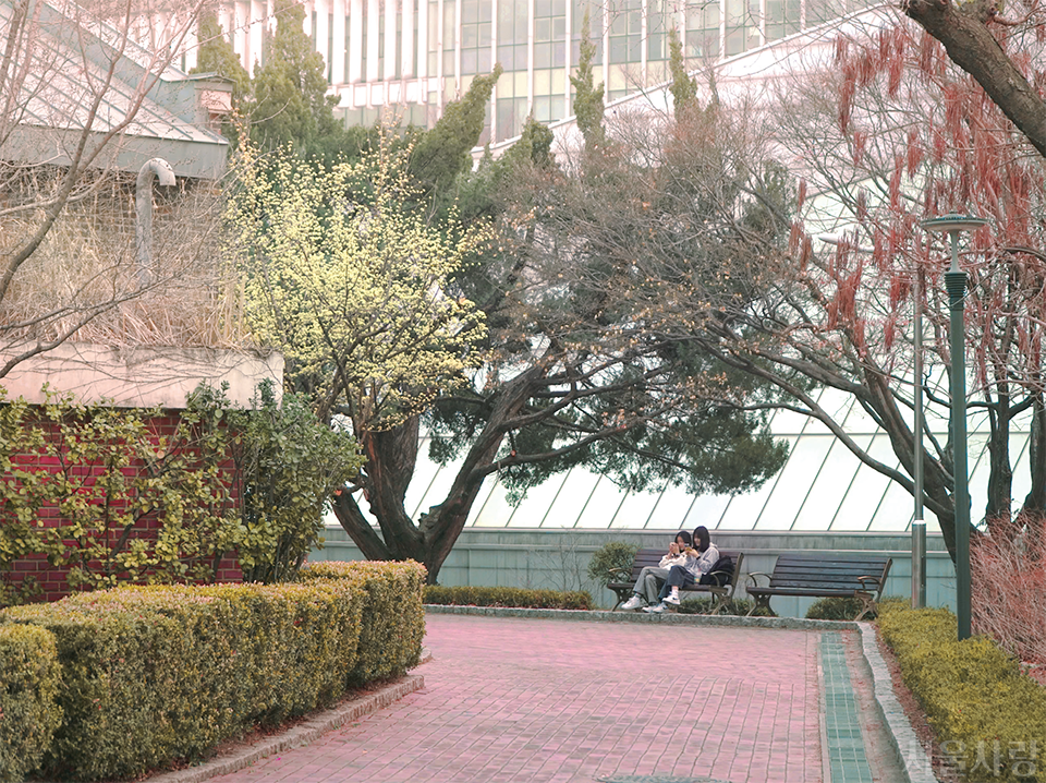 서울시립대학교 경농관 앞 벤치.