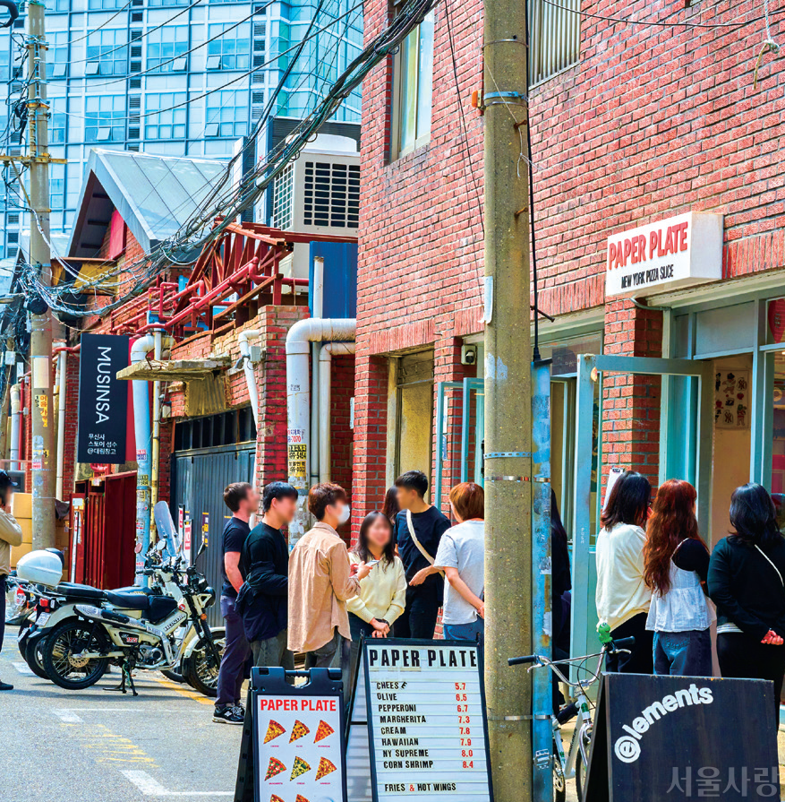 페이퍼 플레이트