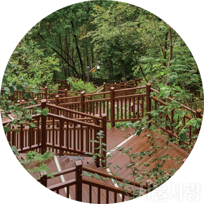 남산북측숲길 & 남산하늘숲길