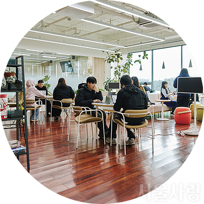 청년취업사관학교