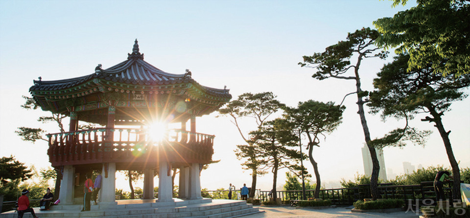 응봉산