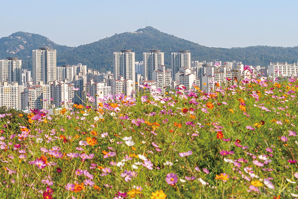 걱정 없이 머무는 집