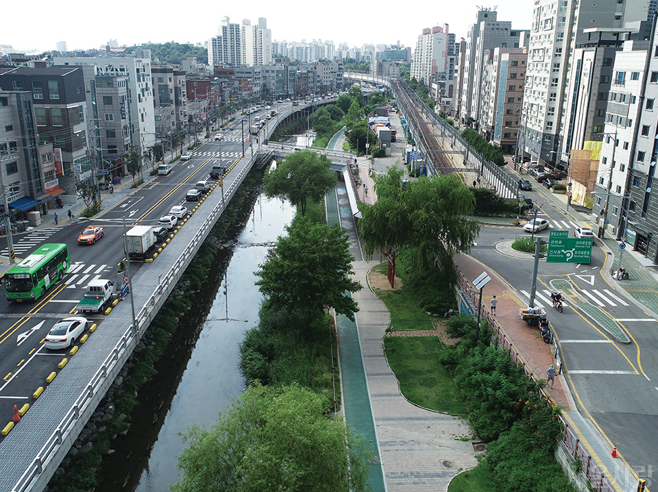 도림천 변
