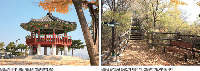 좌 : 응봉산에서 바라보는 서울숲과 영동대교의 모습, 우 : 응봉산 팔각정은 응봉산의 자랑이자, 성동구의 자랑이기도 하다.