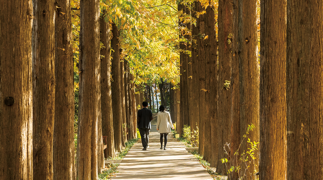 단풍길에서 만나는 서울의 가을