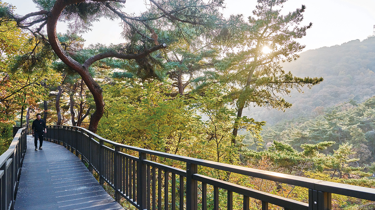 수고했어, 올해도!